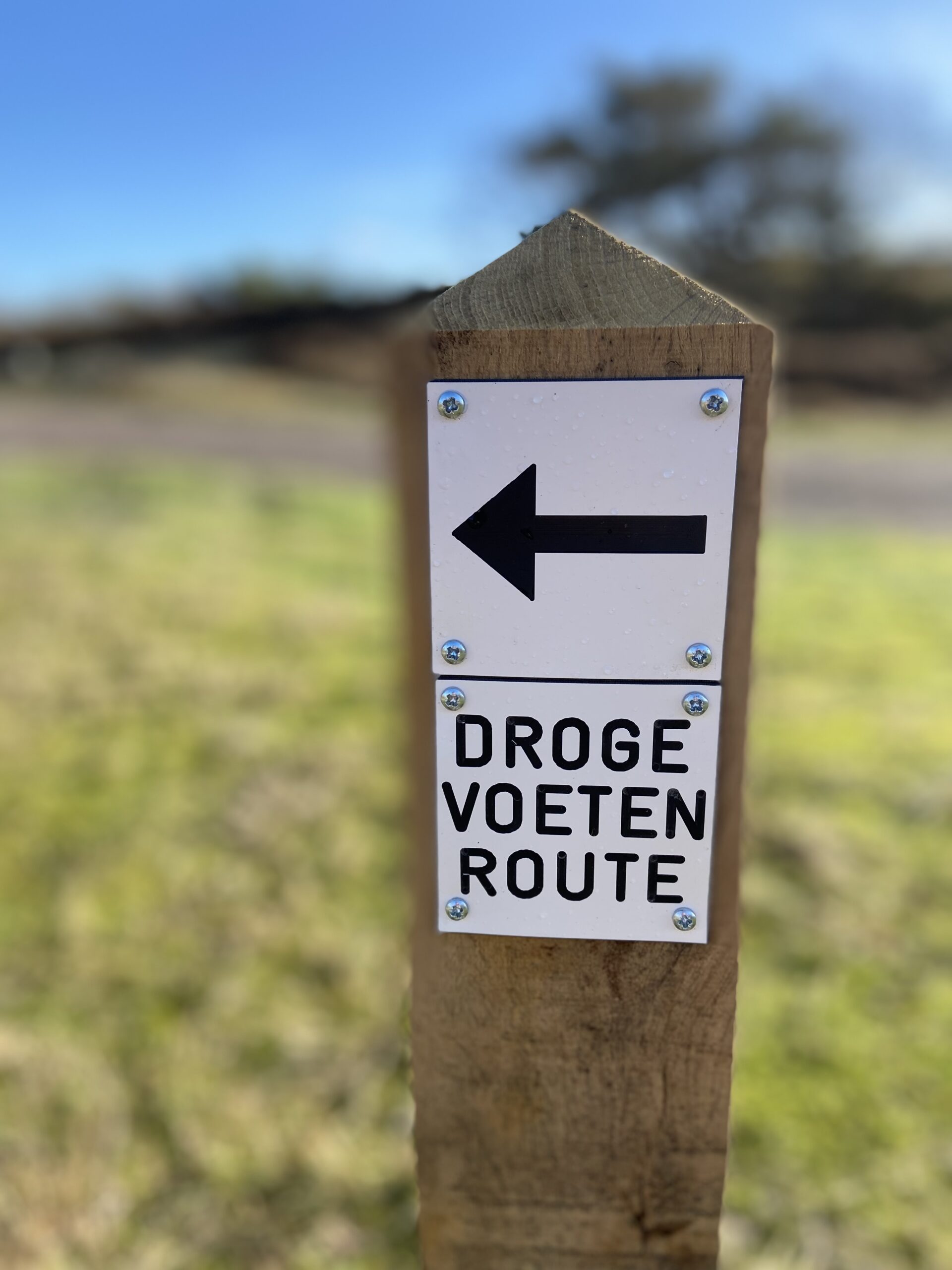 So you think you can trail: Routes maken
