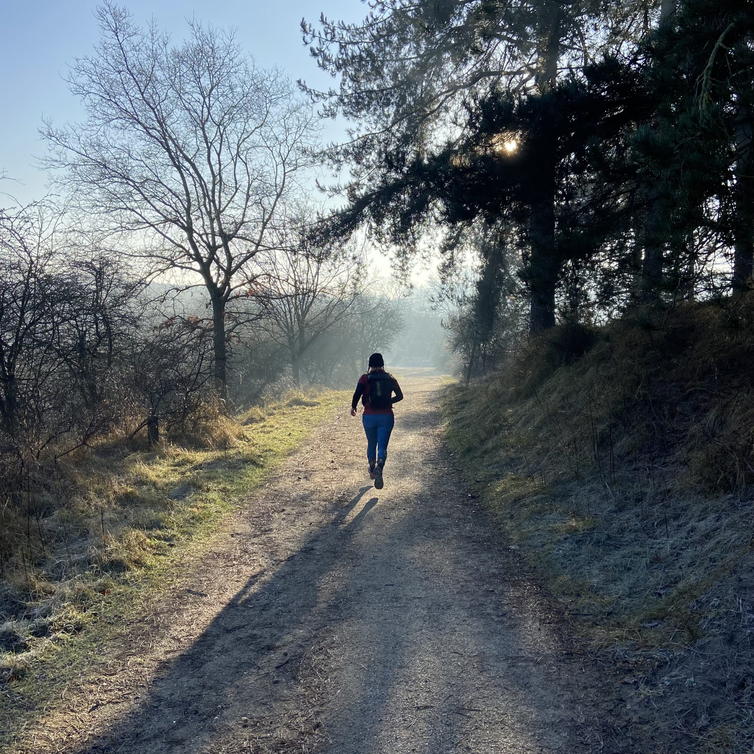 So you think you can trail: Navigeren