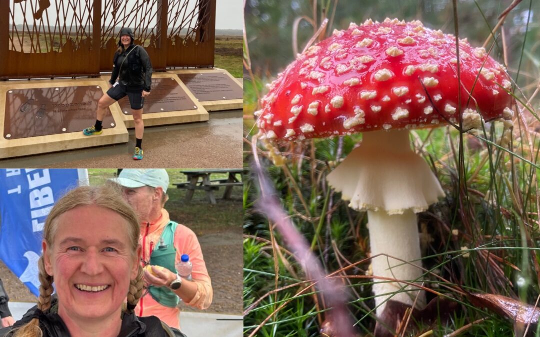 Pegasus Trail met onstuimig weer