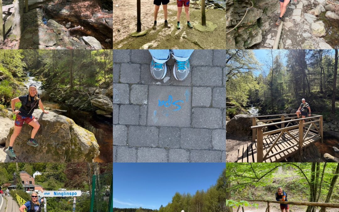 Lang leve de koning!