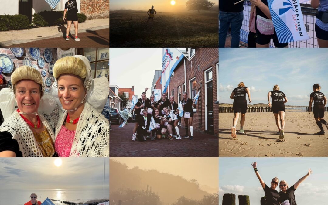 Anita goes Zeeland: Gold cats run the coast